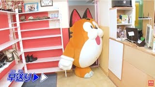 「パズドラ」チャレンジカップへの道　トラゴンのビクトリーロード～フラッシュ暗算編～