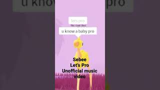 Sebee: Let’s pro