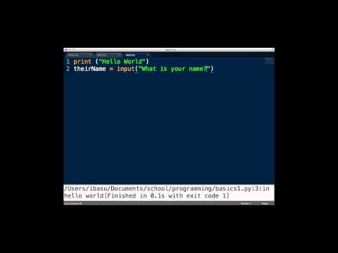 Python basic print and input