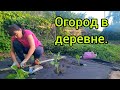 ХОЗЯЙСТВО В ДЕРЕВНЕ: Посадка Капусты 🥬 и Уход за Картошкой. 🥔  Наш первый УРОЖАЙ РЕДИСКИ.