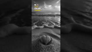 Roman Olur Yaşam Seni Resimi