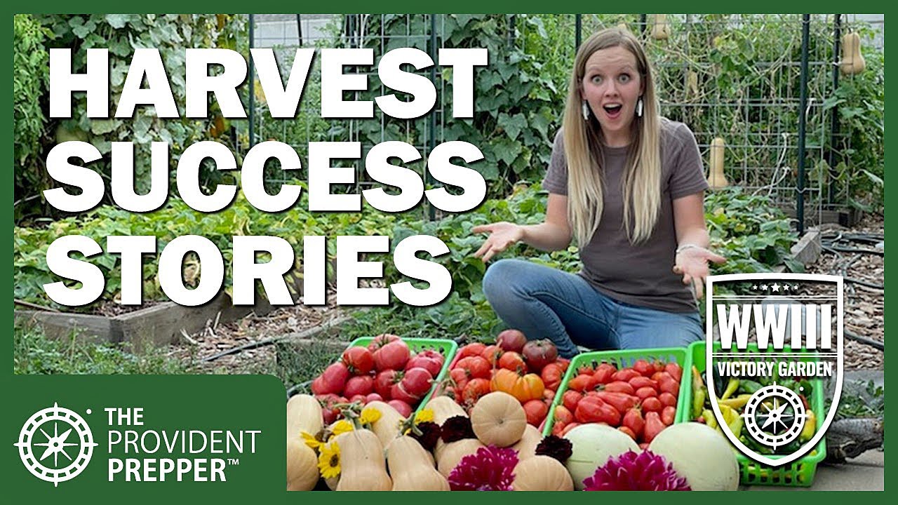 WWIII Victory Garden Rob and Amanda's New Garden Harvest and an Update from Richard in the UK