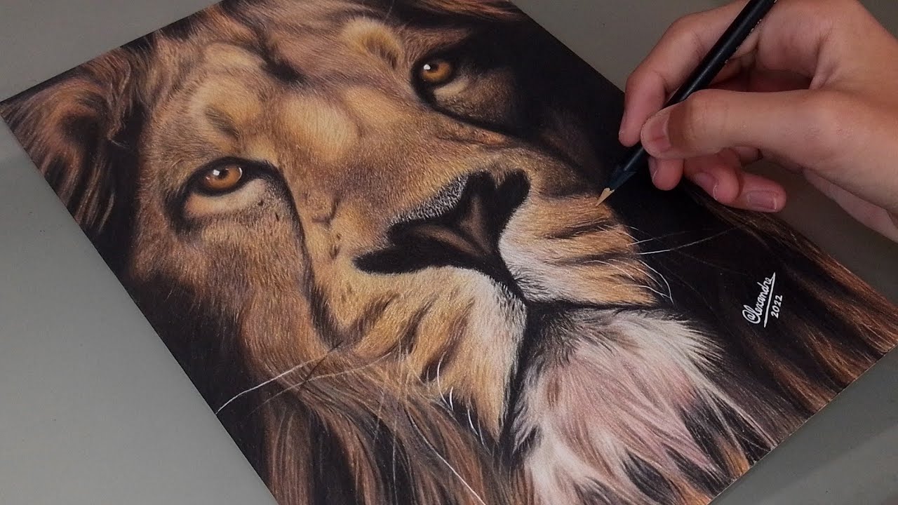 Tutorial de como desenhar um Leão realista! - Alearts - YouTube