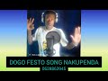 DOGO FESTO SONG NAKUPENDA