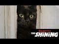 The shining  my cat