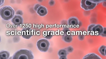 Custom Microscopy Cameras from Lumenera