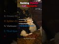 Ranking Cats That Glitched In Real Life 💀