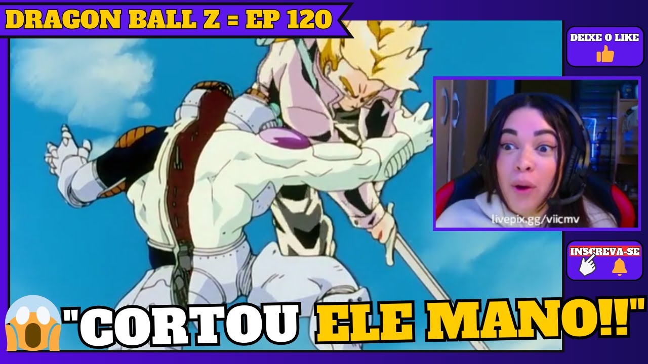 Dragon Ball Z Dublado Completo 291 Episodios