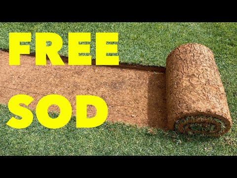 I am GIVING sod away FOR FREE