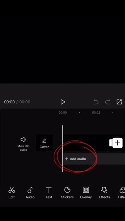 How to do VOICEOVERS in Capcut!!
