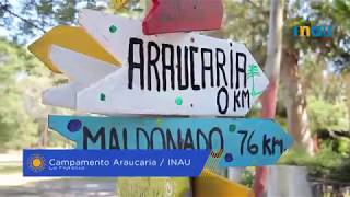 Campamento Araucaria, La Floresta Inau