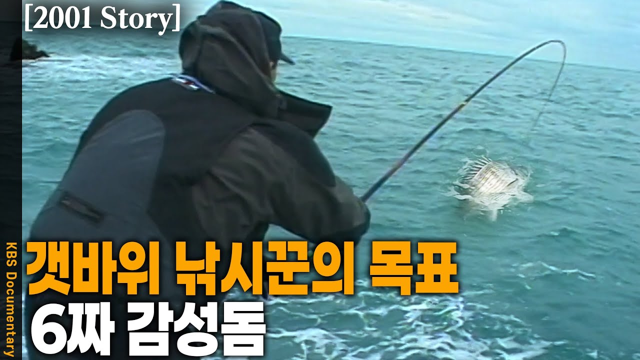 [2001 Story] 새벽부터 벌어지는 포인트 전쟁! 6짜 감성돔의 산실 추자도는 낚시 경쟁 중 | KBS 20010201 방송