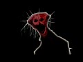 THE BOILED ONE FAN SONG 