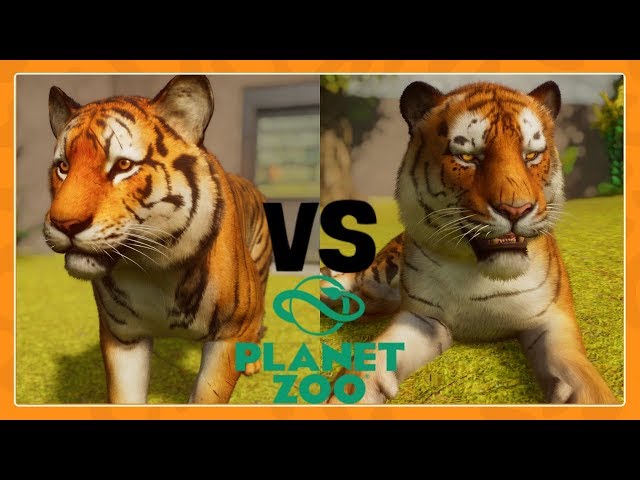 spore Bengal Tiger vs real 3d Bengal Tiger by Evilution90 on