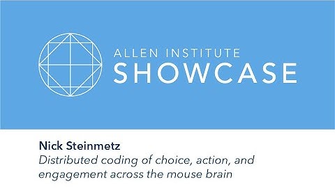 Nick Steinmetz | 2019 Allen Showcase Symposium