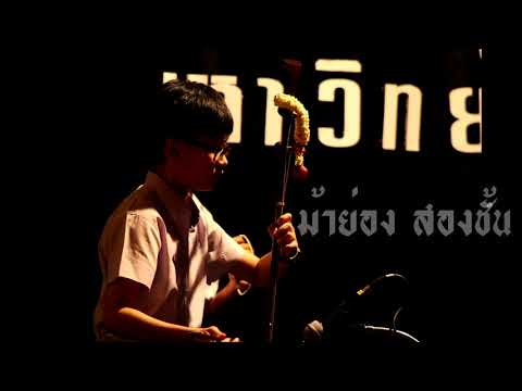 ม้าย่อง สองชั้น เดี่ยวซอด้วง