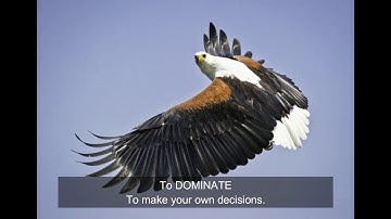 You Can’t Soar Like An Eagle When You Surround Yourself With Turkeys || Great Motivational Video