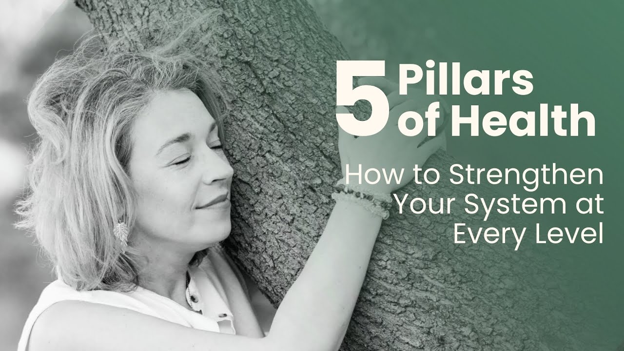 5 Pillars of Health - YouTube