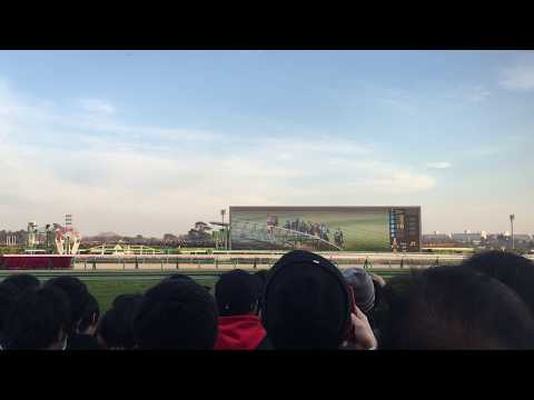 2017 有馬記念ゴール