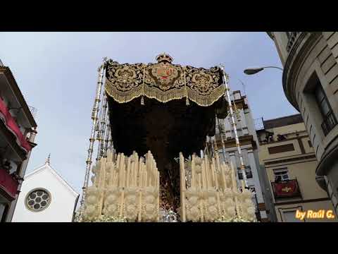 Pontificia, Real, Muy Ilustre y Trinitaria Hermandad Sacramental y Archicofradía de Nazarenos del Sagrado Decreto de la Santísima Trinidad, Santísimo Cristo de las Cinco Llagas, María Santísima de la Concepción, Nuestra Señora de la Esperanza Coronada y San Juan Bosco