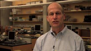 Famous Meet the Engineers who Teach Exploring Engineering at Brown University Profile