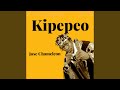 Kipepeo Kipepeo