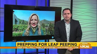 Plan a trip to Vail, CO this fall!