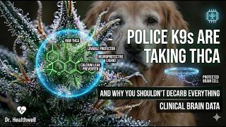 Why Police K9s Are Taking THCA (And Why You Shouldn't Decarb Everything)
