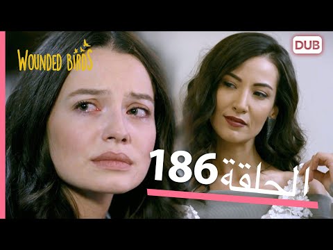 الطيور الجريحة الحلقة الكاملة 186 مدبلج عربي