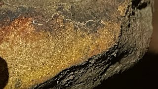 ￼ Gold mining￼ in Oklahoma found some!￼