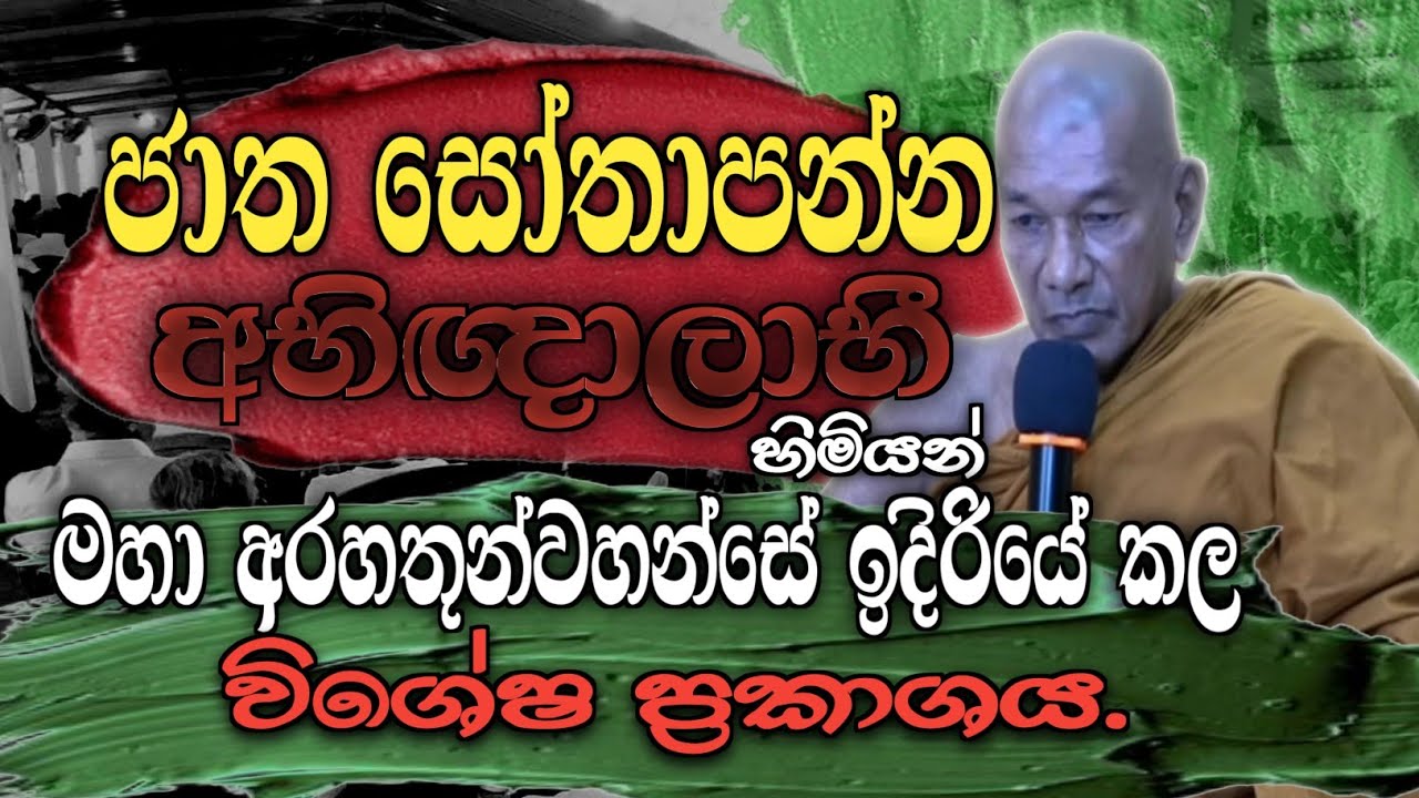 ජාත සෝතාපන්න අභිඥාලාභී හිමියන්ගේ විශේෂ ප්‍රකාශය... 