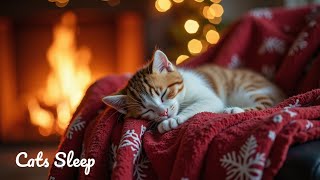 Kediler için Sakinleştirici Uyku Müziği | Anksiyeteyi Azaltan ve Derin Dinlenme Sağlayan Melodiler