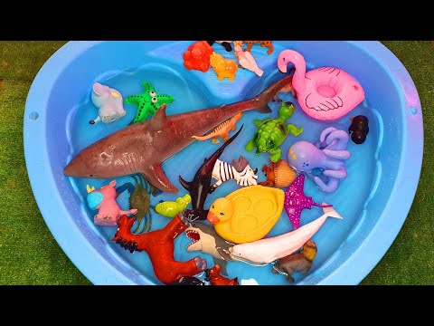 Toys for kids Sea Animals Names and Sounds Wild Zoo Animals