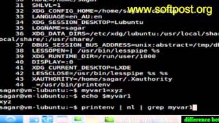 Difference between environment and shell variables in Debian