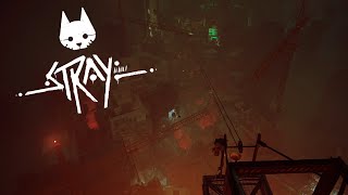 картинка: КРЫШИ | STRAY #3
