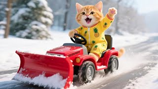 Ginger Kitten Builds a LEGO Snow Plow Because Mama Cat Works Too Hard Shoveling Snow