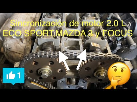 Video: ¿Puedes sincronizar puntos de eco?