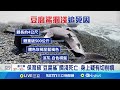 賭博案件與社會治安
