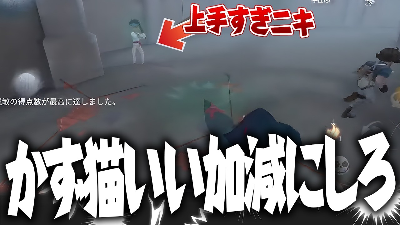 最上位に紛れ込んでしまった！かず猫くん俺と勝負しようや！【第五人格 / IdentityV】