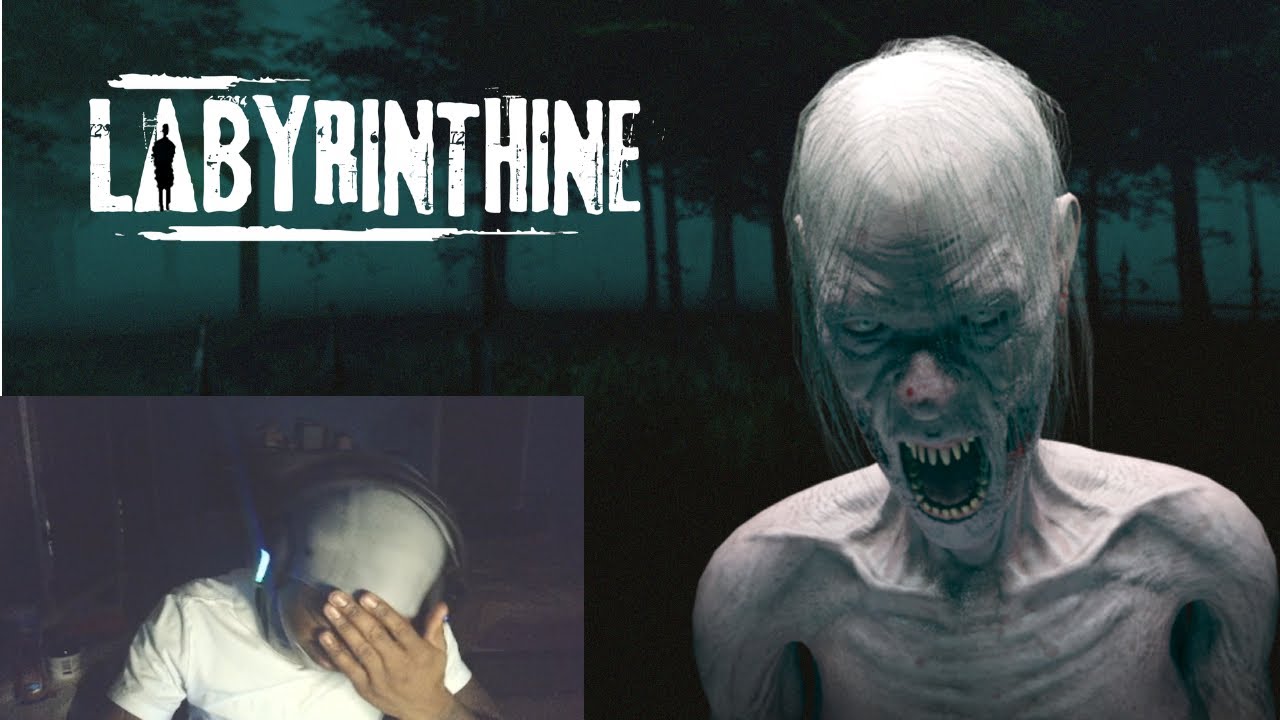 We making progress....maybe (Labyrinthine Part 2)