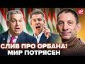 ⚡️ПОРТНИКОВ: ОРБАН ПОПАЛСЯ! Не поверите, что РАСКОПАЛИ. Это ПОТРЯСЛО всю ВЕНГРИЮ @i_gryanul_grem