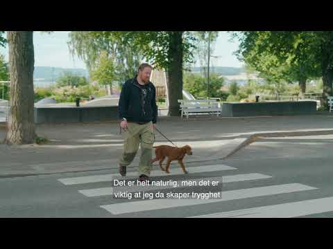 Video: Hvor Mye Koster En Dachshund Valp