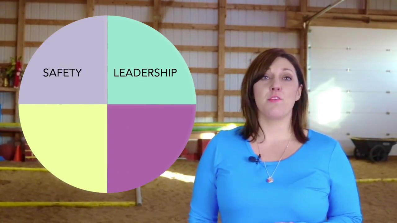 Womens Programs at the Equine Connection