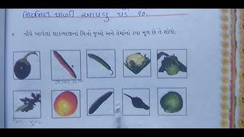 Gujarati Medium - Primary  Std - 4th  Aaspaas Text book Ch - 11 (part - 2)
