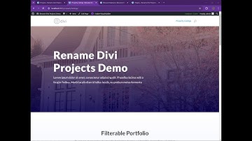 Rename Divi Projects plugin demo
