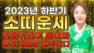 《 2023년 소띠운세 》 하반기 9월 10월 11월 소띠에게 무조건 찾아오는 변화와 기회들! 대박난다! 6…