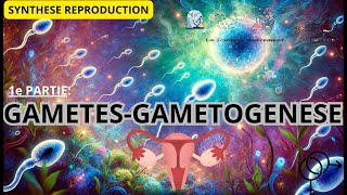(TS/SVT)📽SYNTHESIS REPRODUCTION🔬#1: Gametes and Gametogenesis 🏭👩‍🏭👨‍🏭