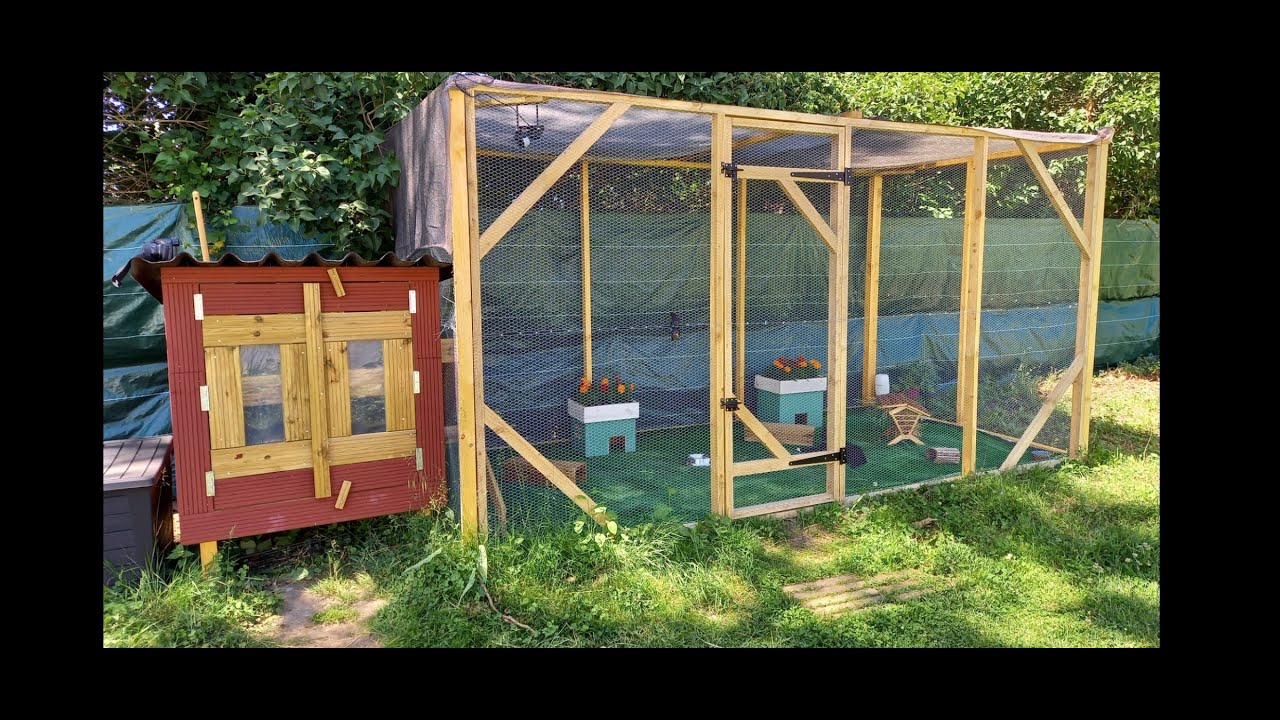 Présentation de mon enclos extérieur pour cochons d'inde