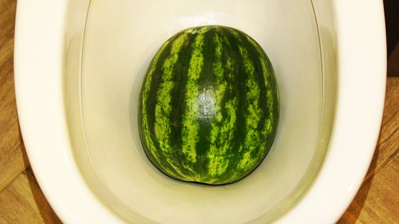 Will it Flush? Watermelon YouTube