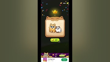 Cat Sort 226~230 #puzzle_daddy